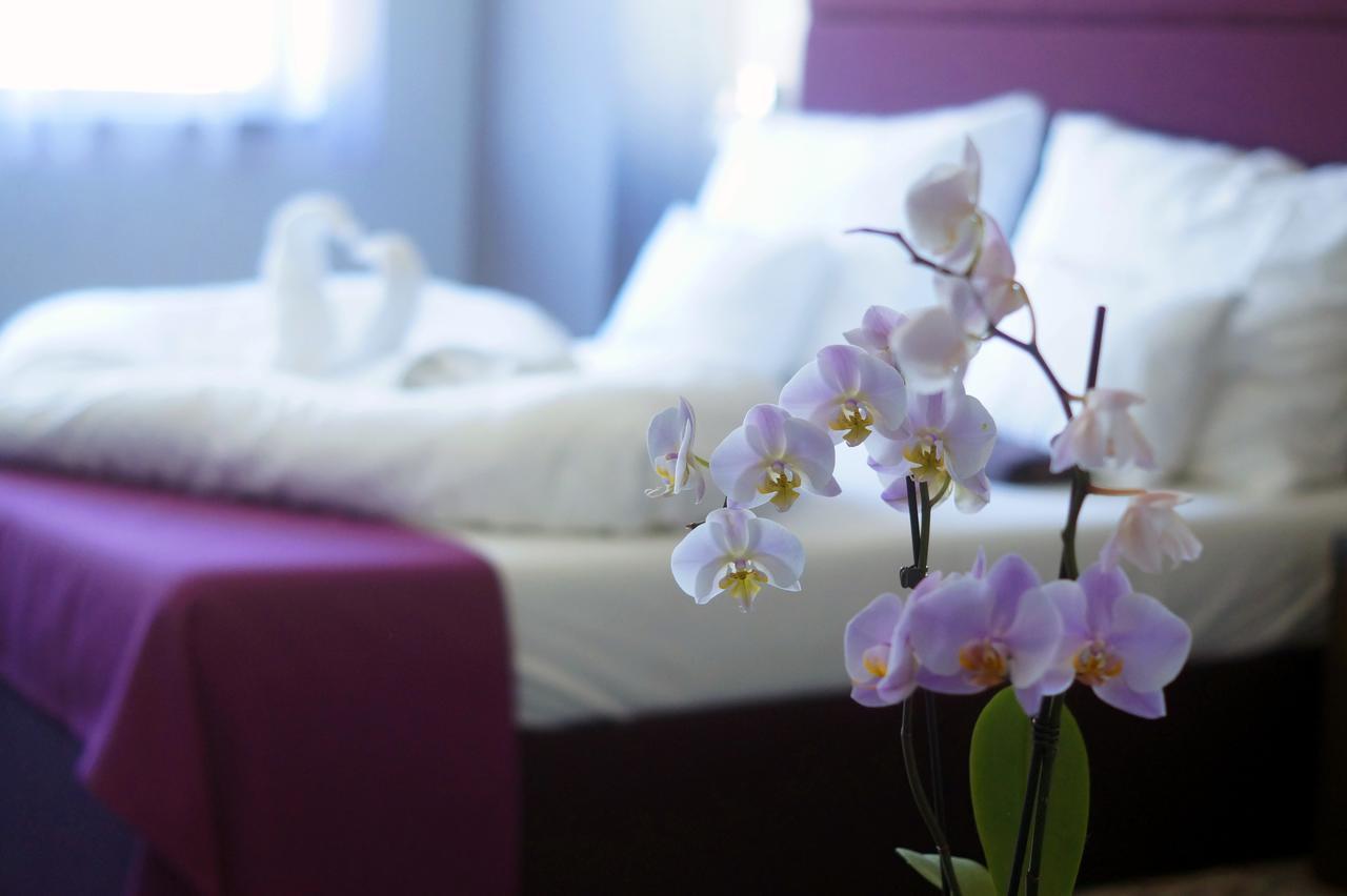 Hotel Fitromax Ajka Zewnętrze zdjęcie